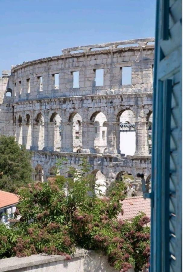 Spectacular View Of The Colloseum بولا المظهر الخارجي الصورة